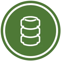 Spine Icon